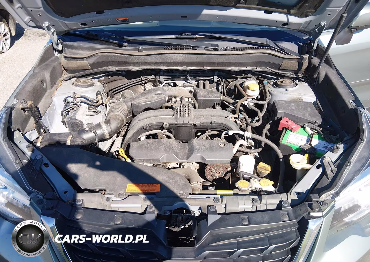 2018 Subaru Forester 2.5I Limited VIN:JF2SJARC0JH534015 - 10