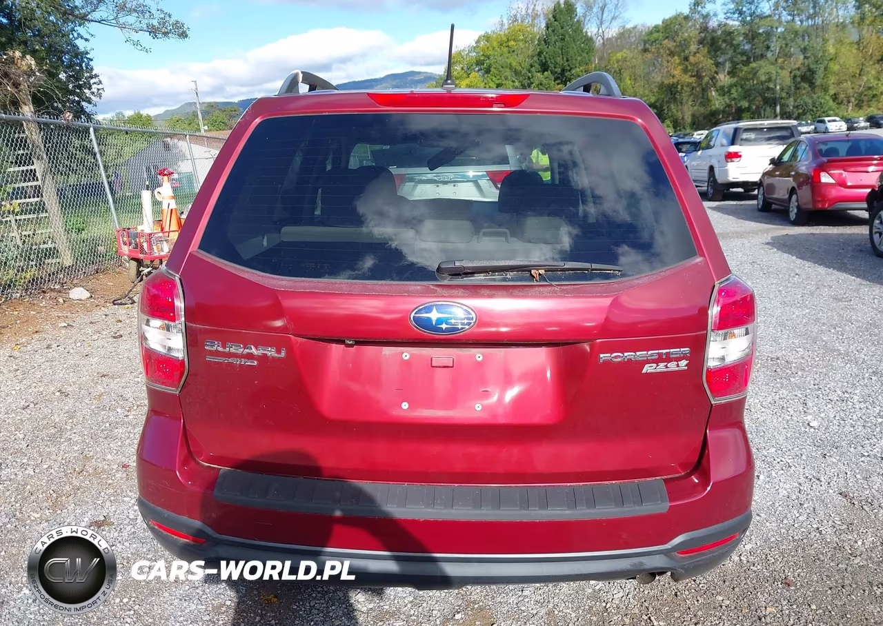 2015 Subaru Forester 2.5I Premium VIN:JF2SJADC7FH509028 - 17