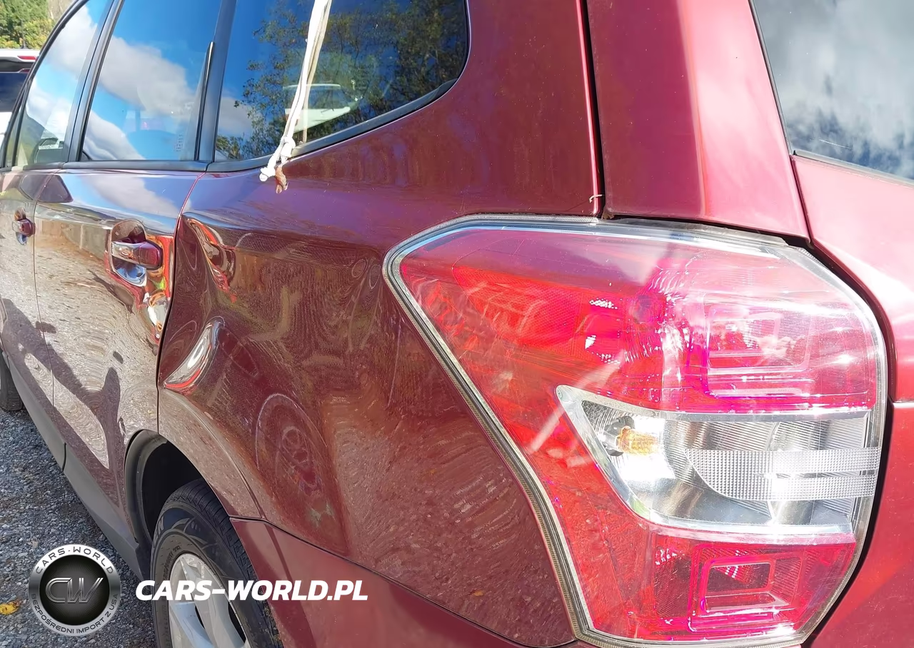 2015 Subaru Forester 2.5I Premium VIN:JF2SJADC7FH509028 - 19
