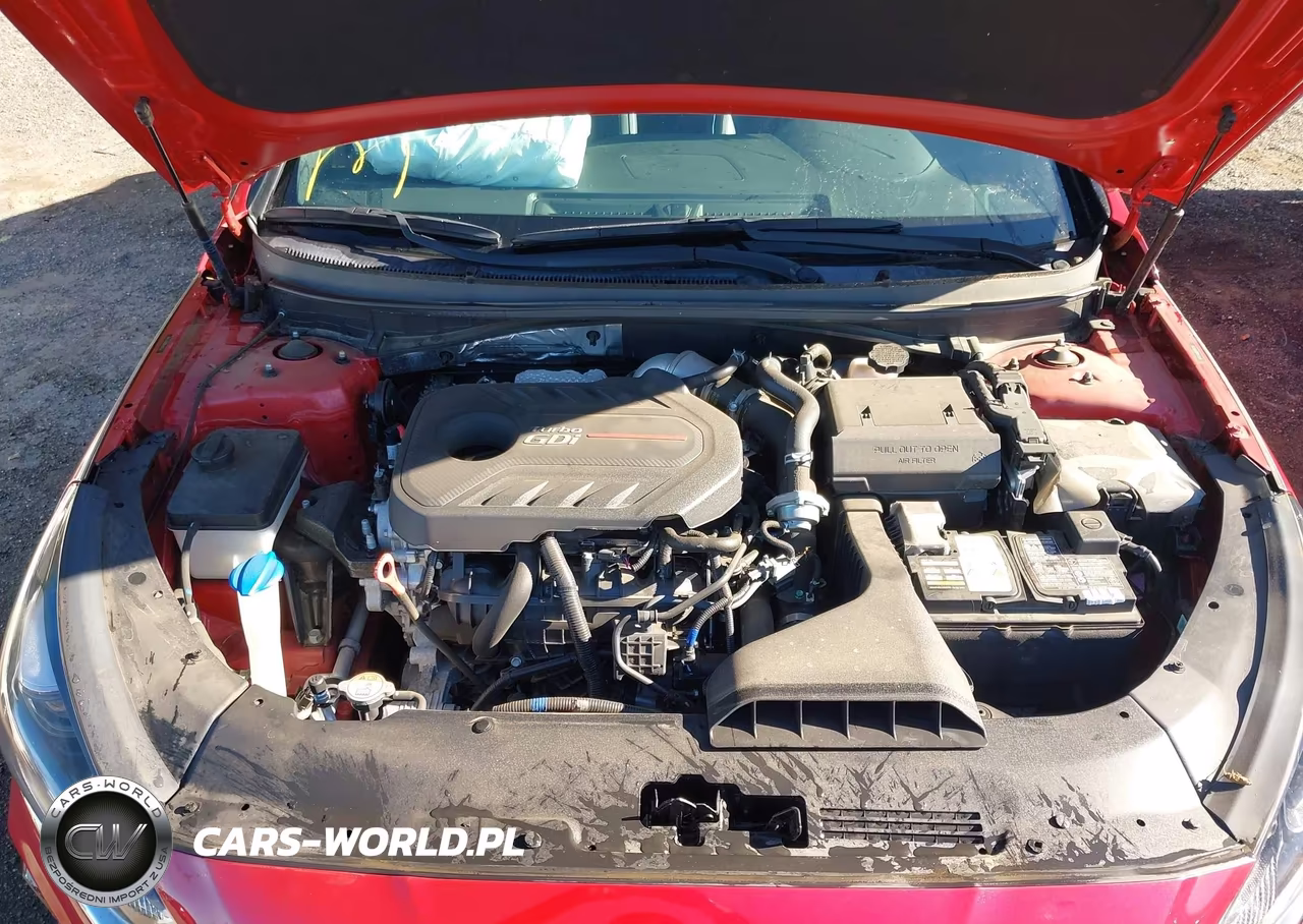 2019 Hyundai Sonata Limited 2.0T VIN:5NPE34AB0KH821223 - 10