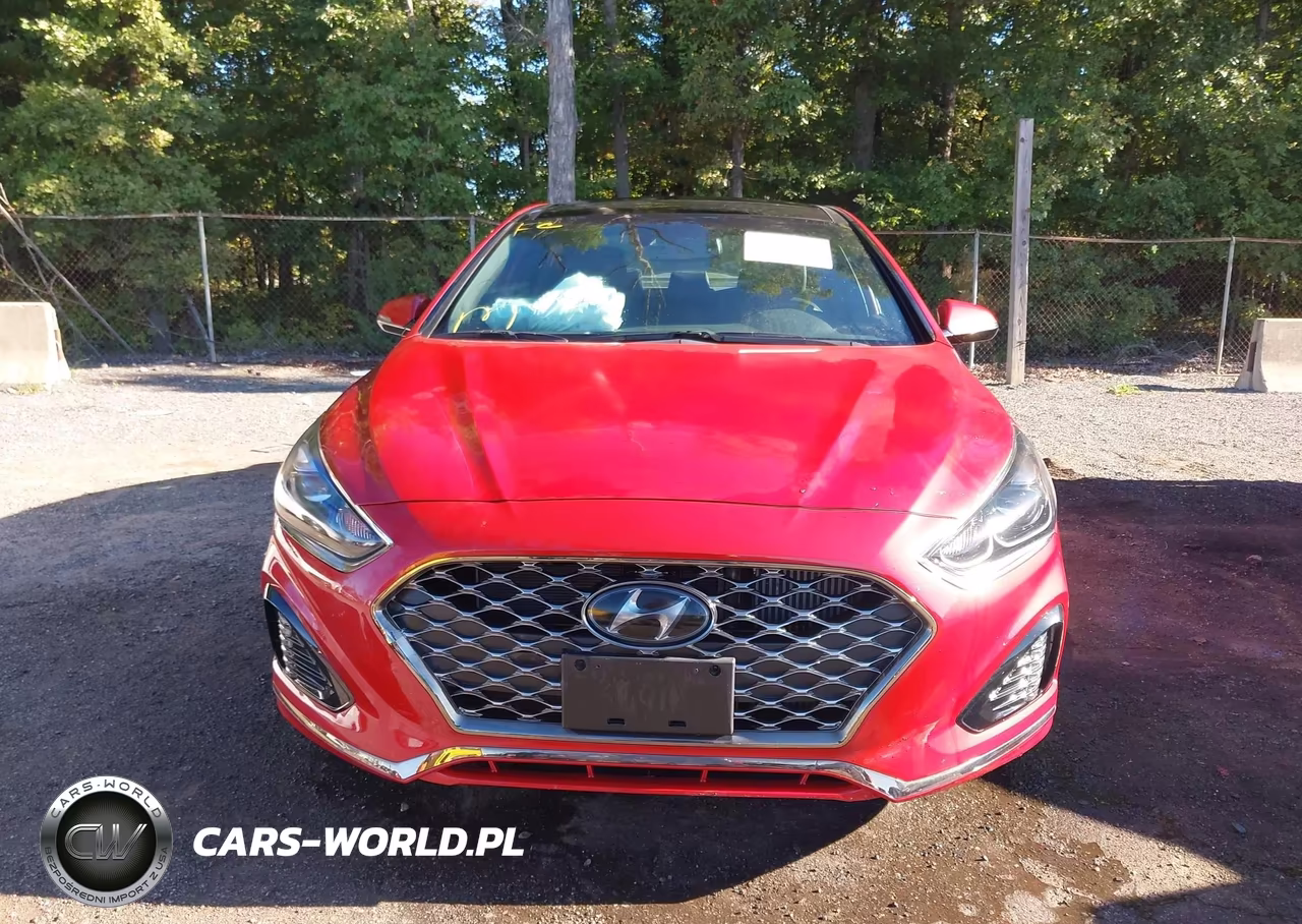 2019 Hyundai Sonata Limited 2.0T VIN:5NPE34AB0KH821223 - 12