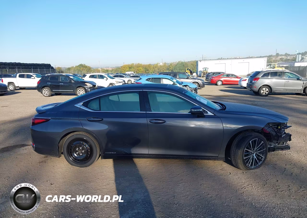 2022 Lexus Es 300H VIN:58ADA1C17NU026009 - 14