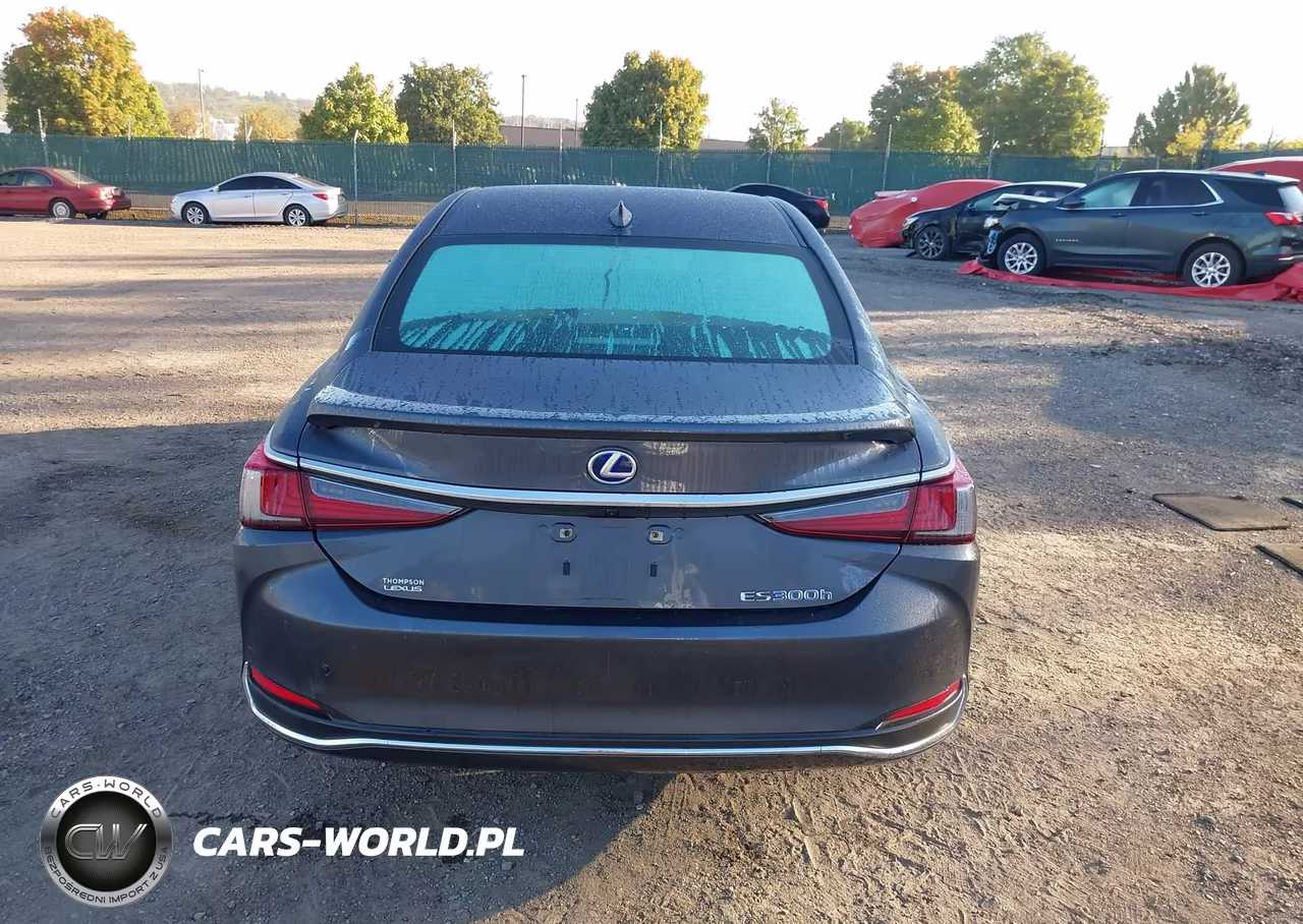 2022 Lexus Es 300H VIN:58ADA1C17NU026009 - 17