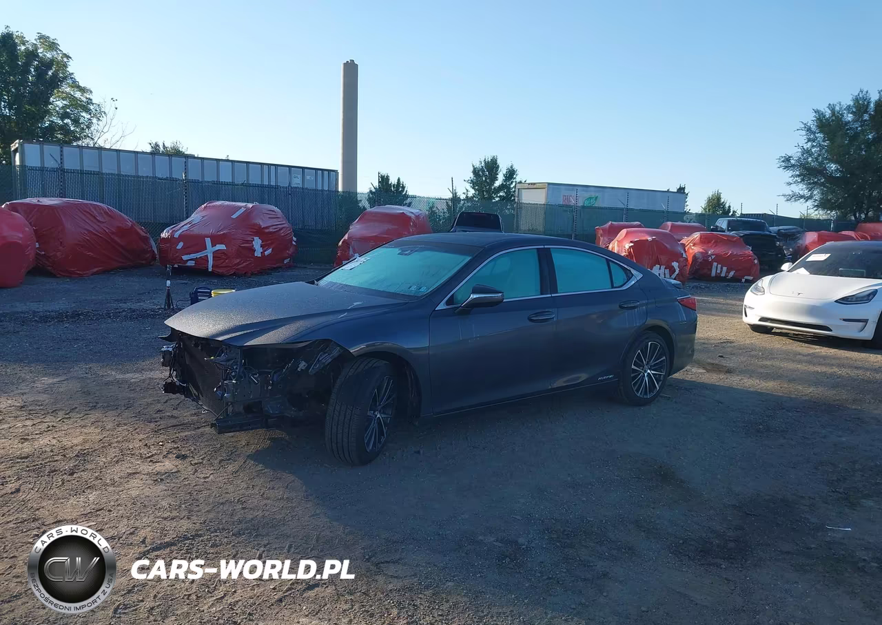 2022 Lexus Es 300H VIN:58ADA1C17NU026009 - 2