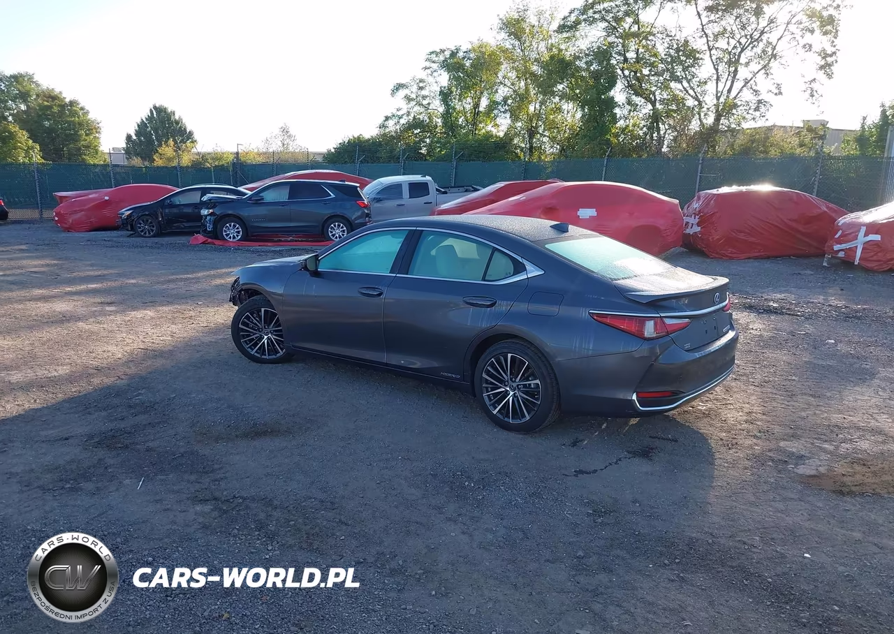 2022 Lexus Es 300H VIN:58ADA1C17NU026009 - 3