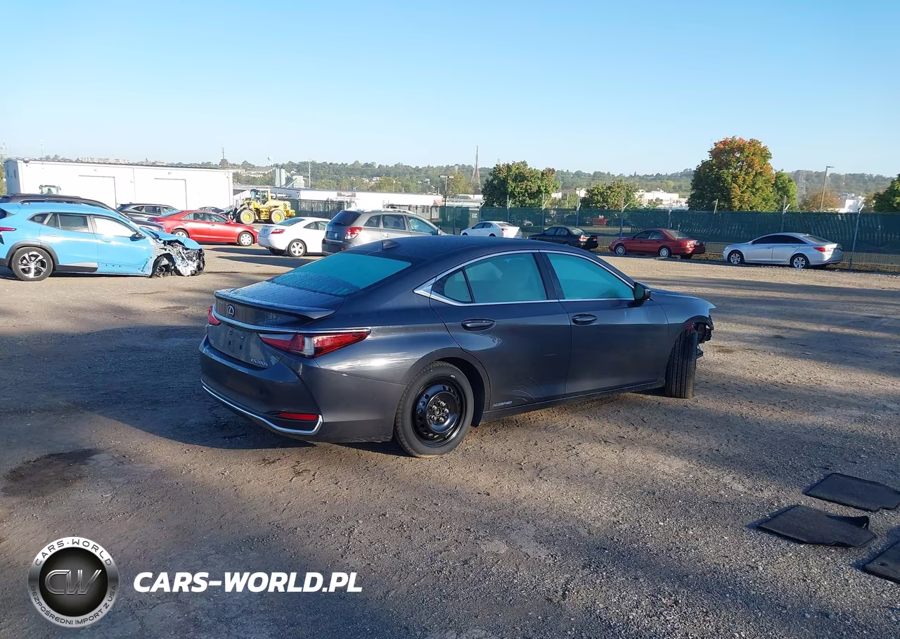 2022 Lexus Es 300H VIN:58ADA1C17NU026009 - 4