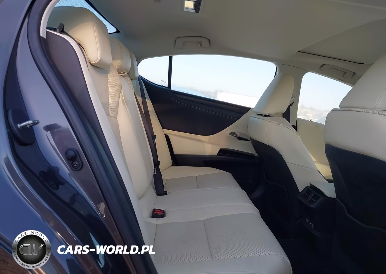 2022 Lexus Es 300H VIN:58ADA1C17NU026009 - 8