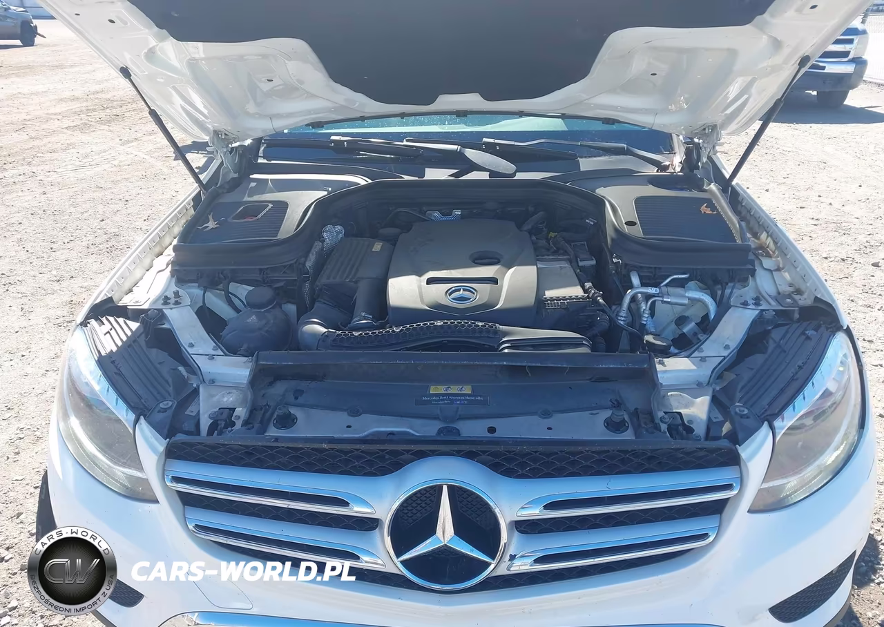 2017 Mercedes-Benz Glc 300 VIN:WDC0G4JB0HF140491 - 10