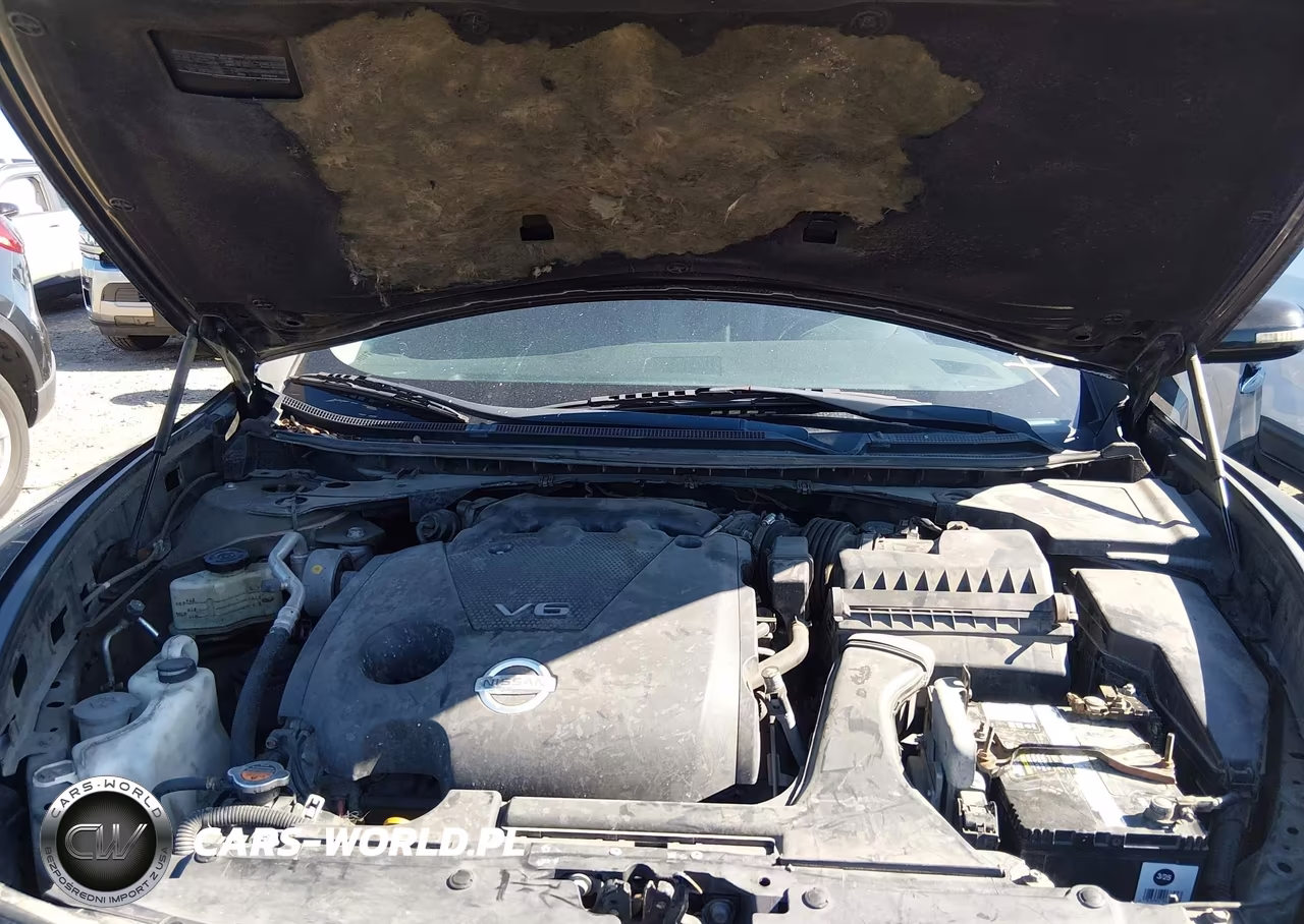 2014 Nissan Maxima 3.5 S-3.5 Sv VIN:1N4AA5AP9EC490847 - 10