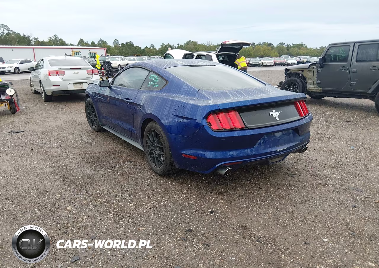 2016 Ford Mustang V6 VIN:1FA6P8AM6G5277499 - 3