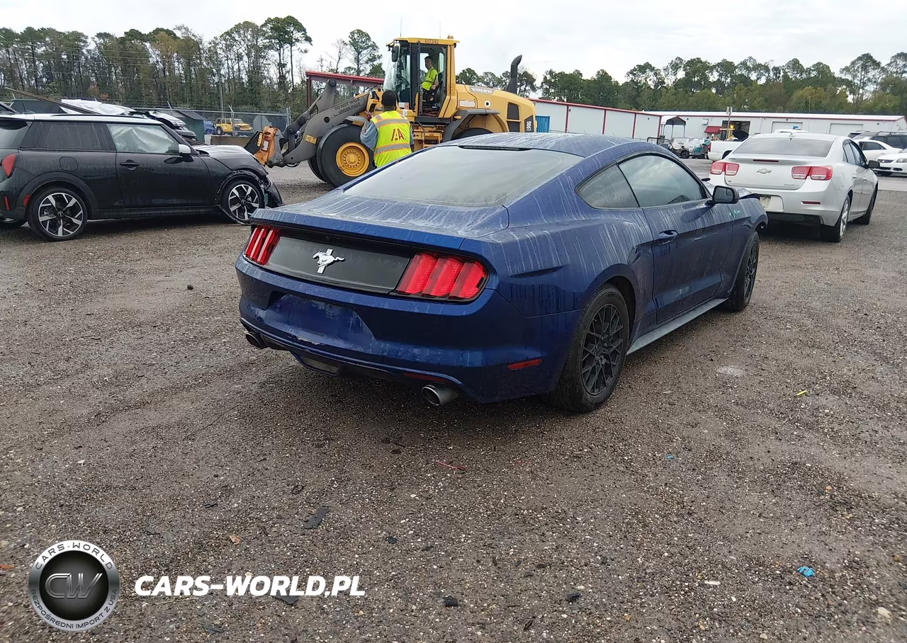 2016 Ford Mustang V6 VIN:1FA6P8AM6G5277499 - 4
