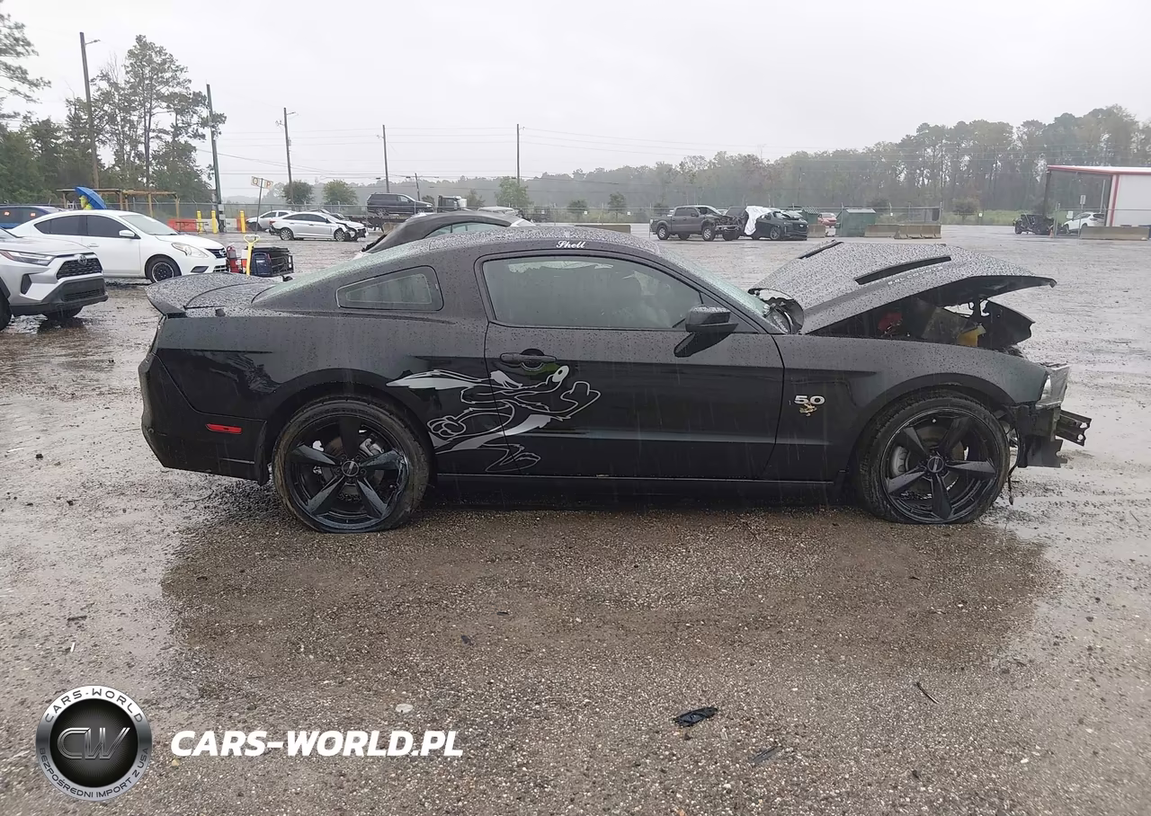 2014 Ford Mustang Gt VIN:1ZVBP8CF8E5331130 - 13