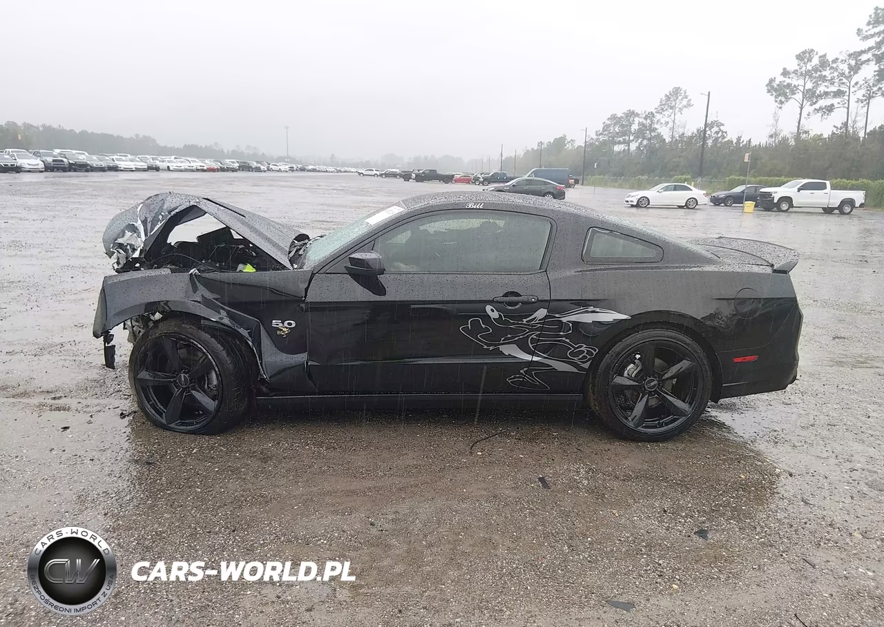 2014 Ford Mustang Gt VIN:1ZVBP8CF8E5331130 - 14