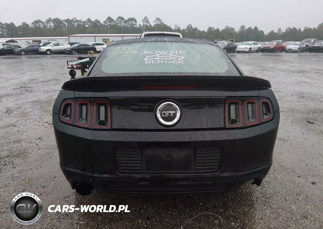 2014 Ford Mustang Gt VIN:1ZVBP8CF8E5331130 - 16