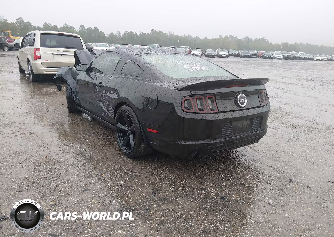 2014 Ford Mustang Gt VIN:1ZVBP8CF8E5331130 - 3