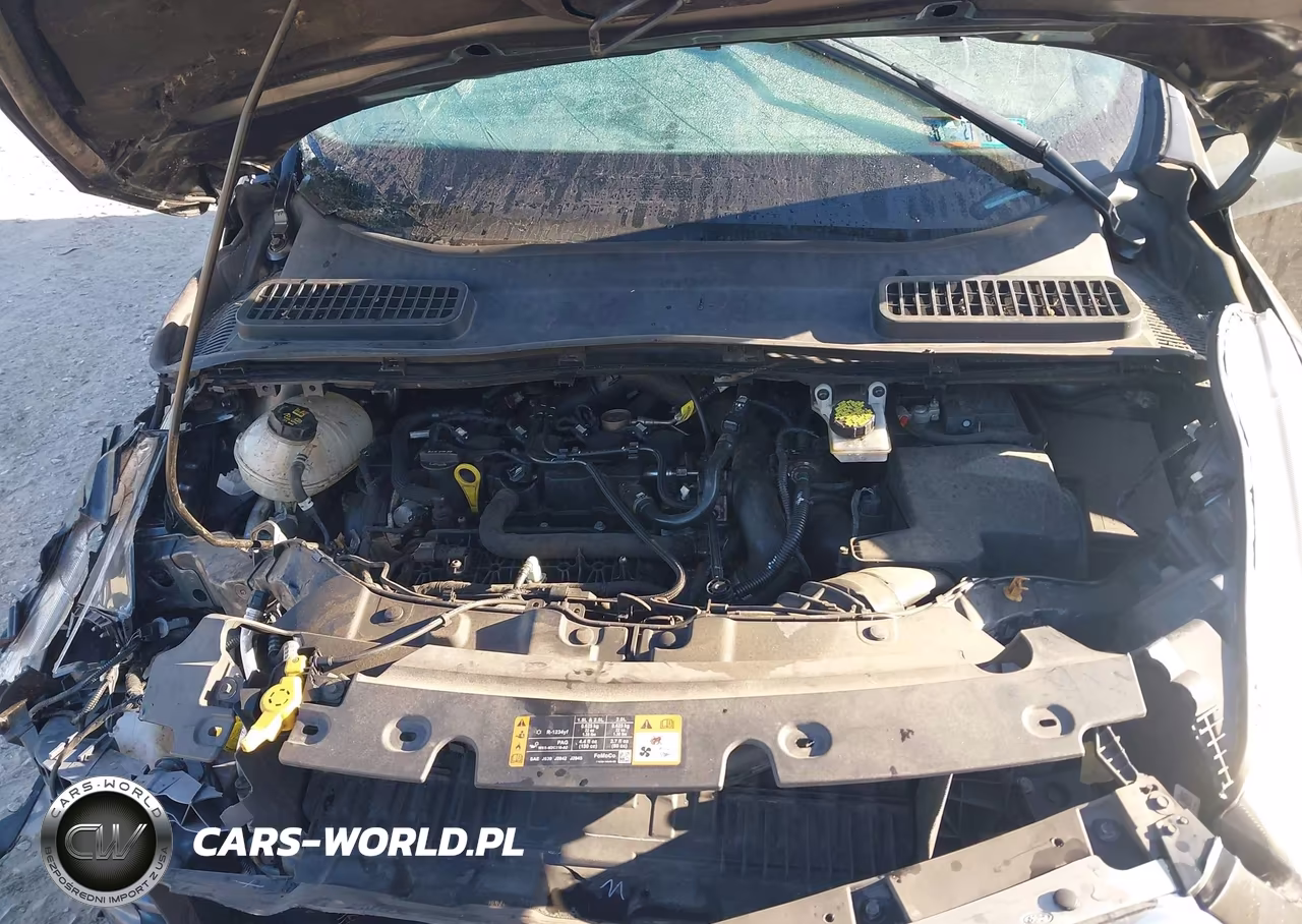 2019 Ford Escape Se VIN:1FMCU0GDXKUB44320 - 10