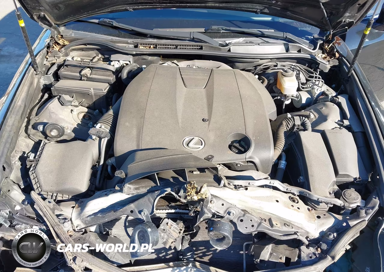 2015 Lexus Is 250 VIN:JTHCF1D29F5029553 - 10