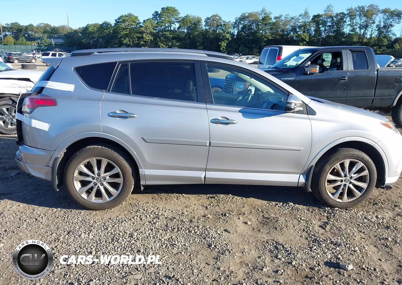 2017 Toyota Rav4 Platinum VIN:2T3DFREV0HW565901 - 13