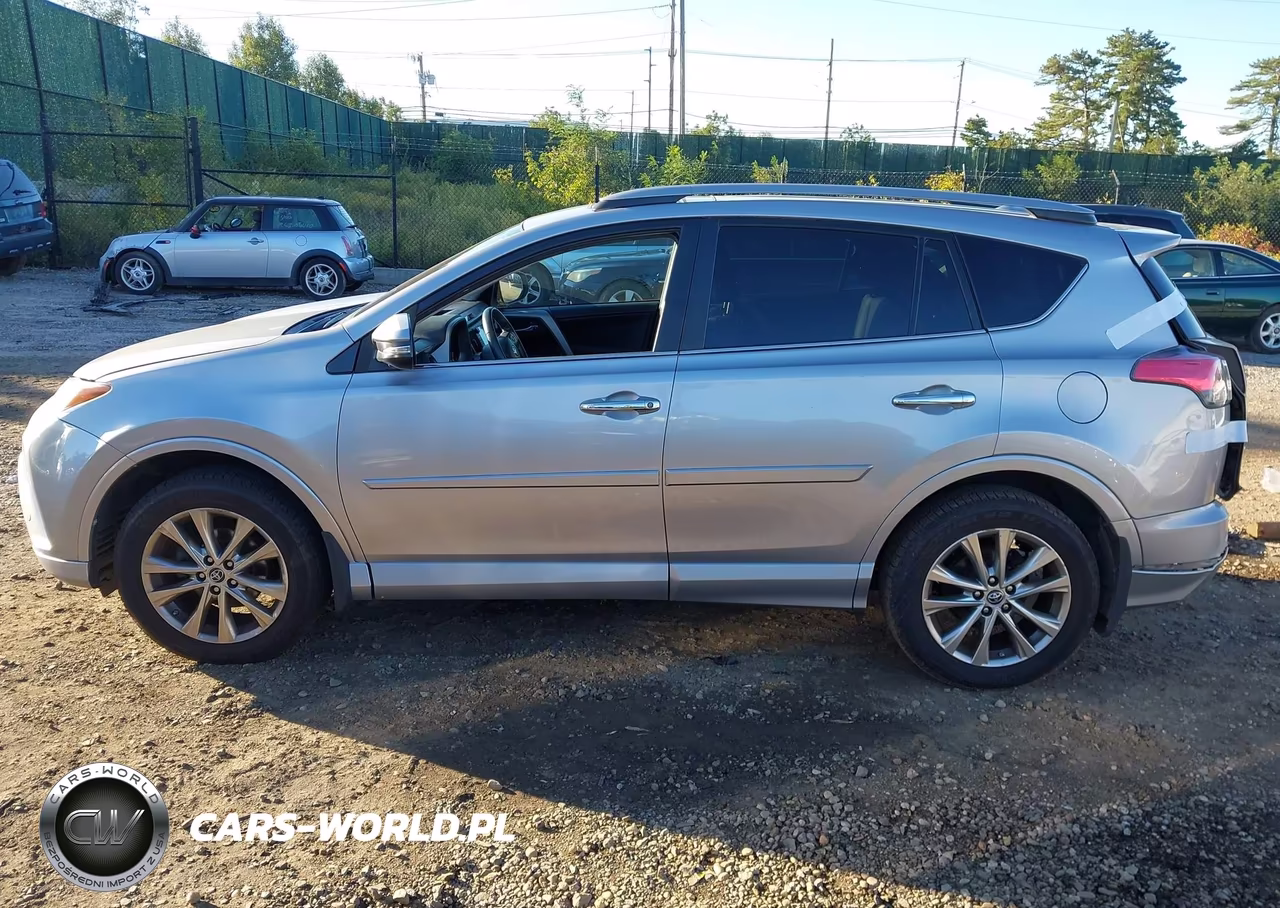 2017 Toyota Rav4 Platinum VIN:2T3DFREV0HW565901 - 14