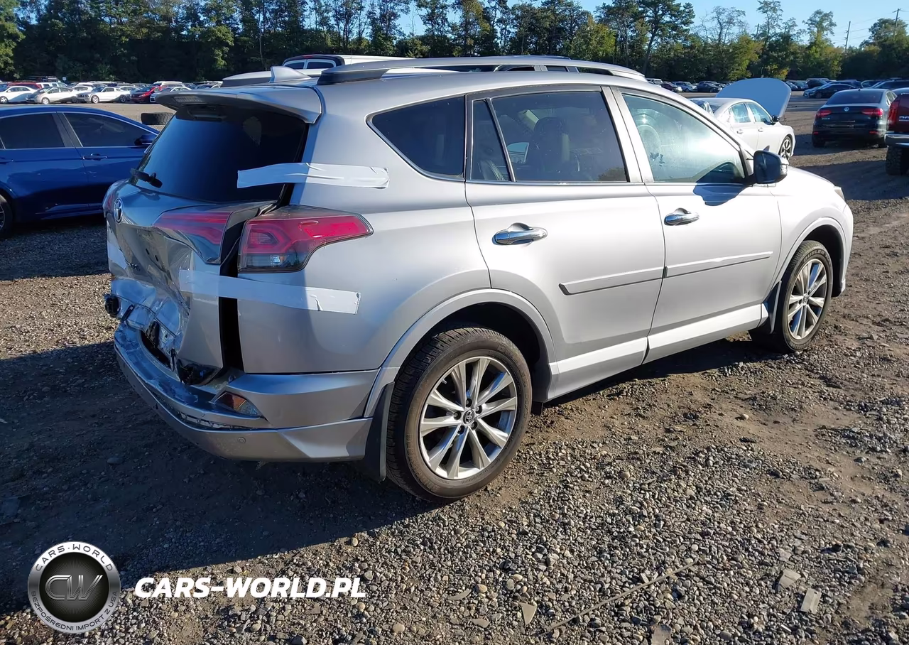 2017 Toyota Rav4 Platinum VIN:2T3DFREV0HW565901 - 4