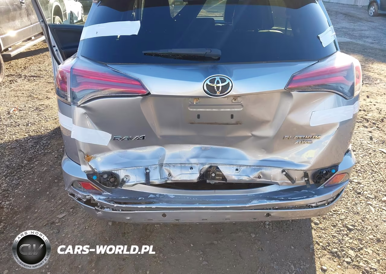 2017 Toyota Rav4 Platinum VIN:2T3DFREV0HW565901 - 6