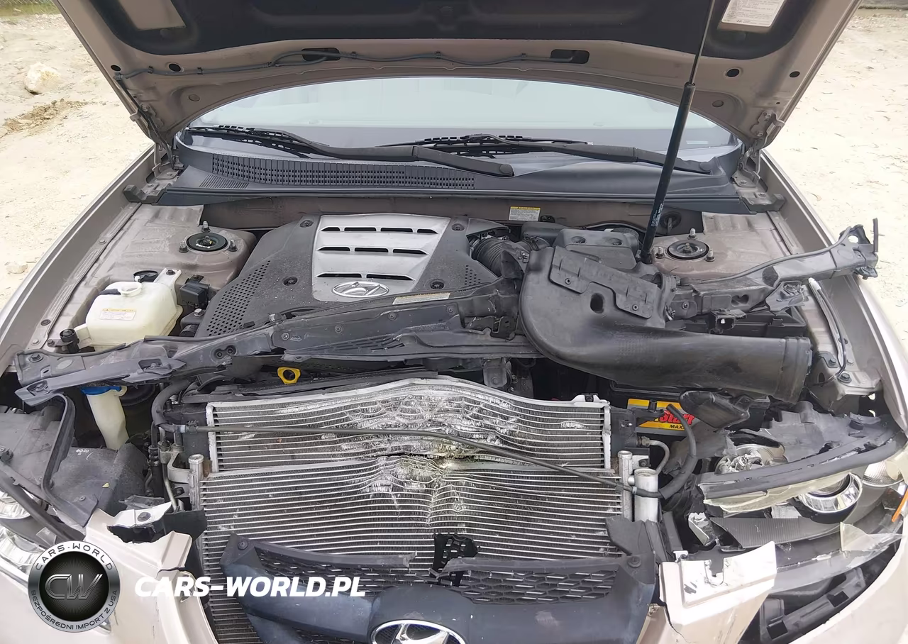 2007 Hyundai Sonata Limited-Se V6 VIN:5NPEU46F77H204787 - 10