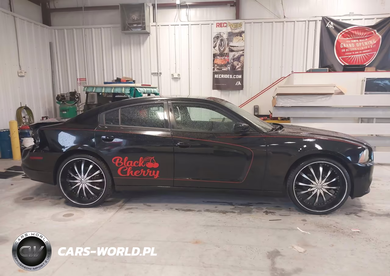 2014 Dodge Charger Se VIN:2C3CDXBG6EH129260 - 13