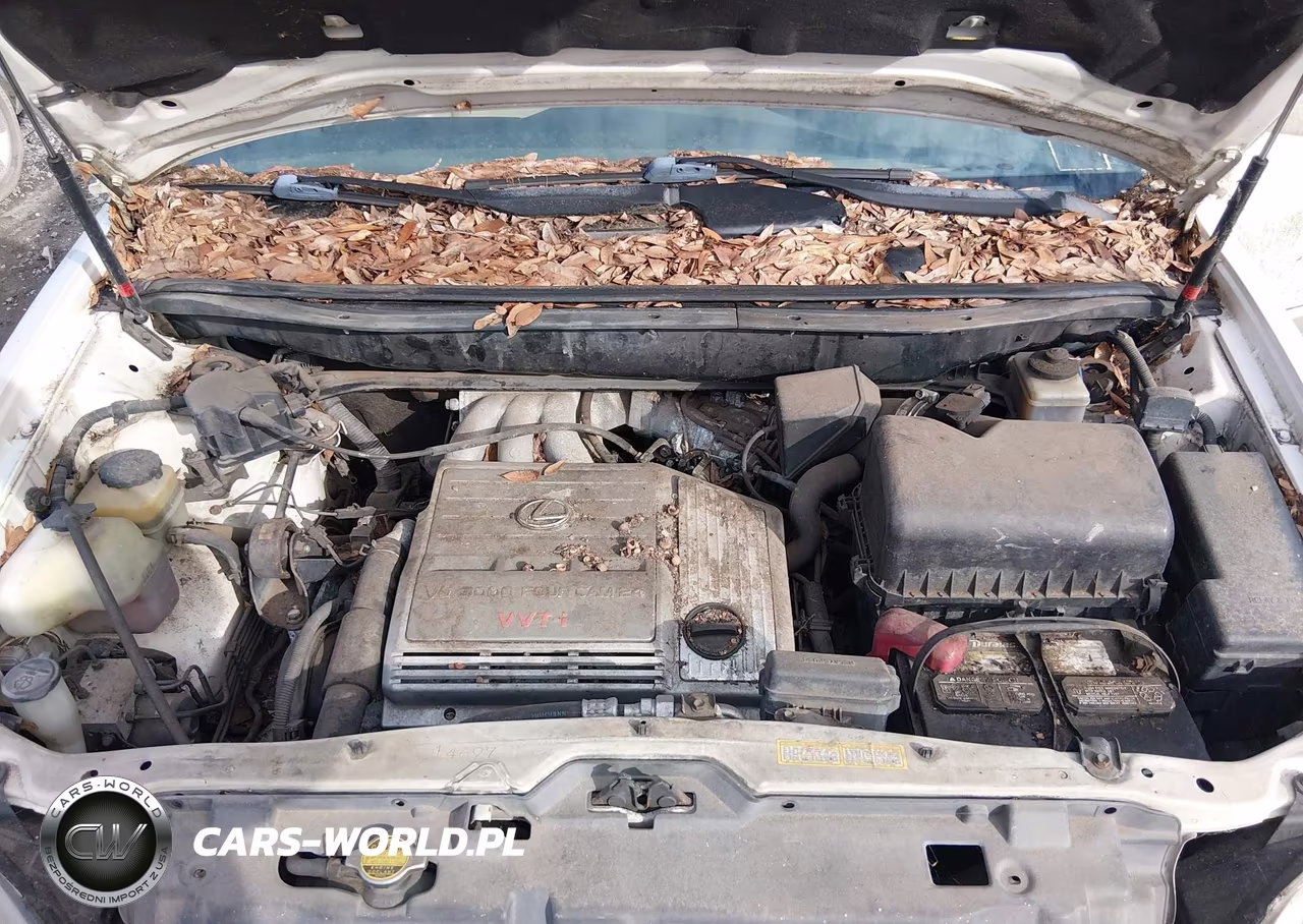 2000 Lexus Rx 300 VIN:JT6GF10U7Y0044960 - 10