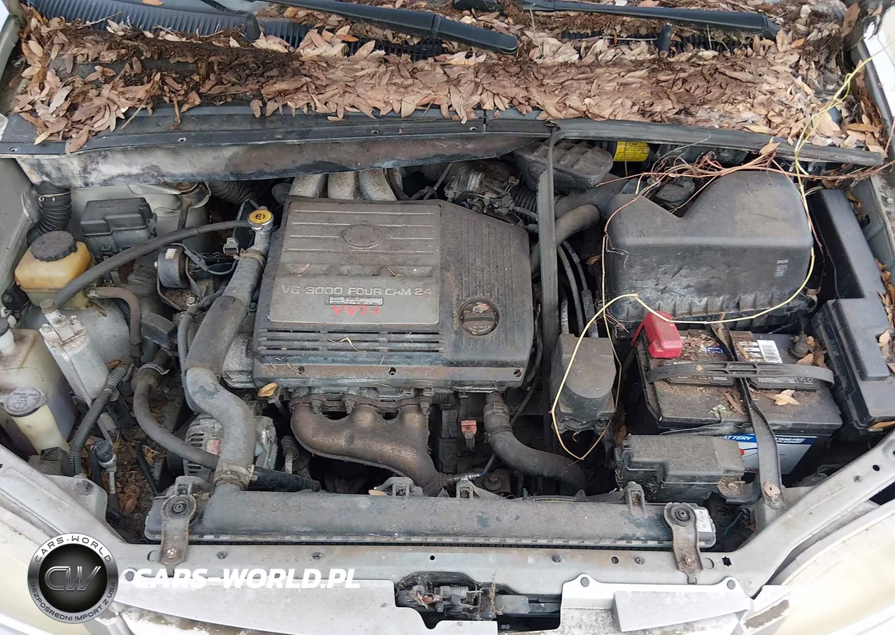 2001 Toyota Sienna VIN:4T3ZF13C91U378963 - 10
