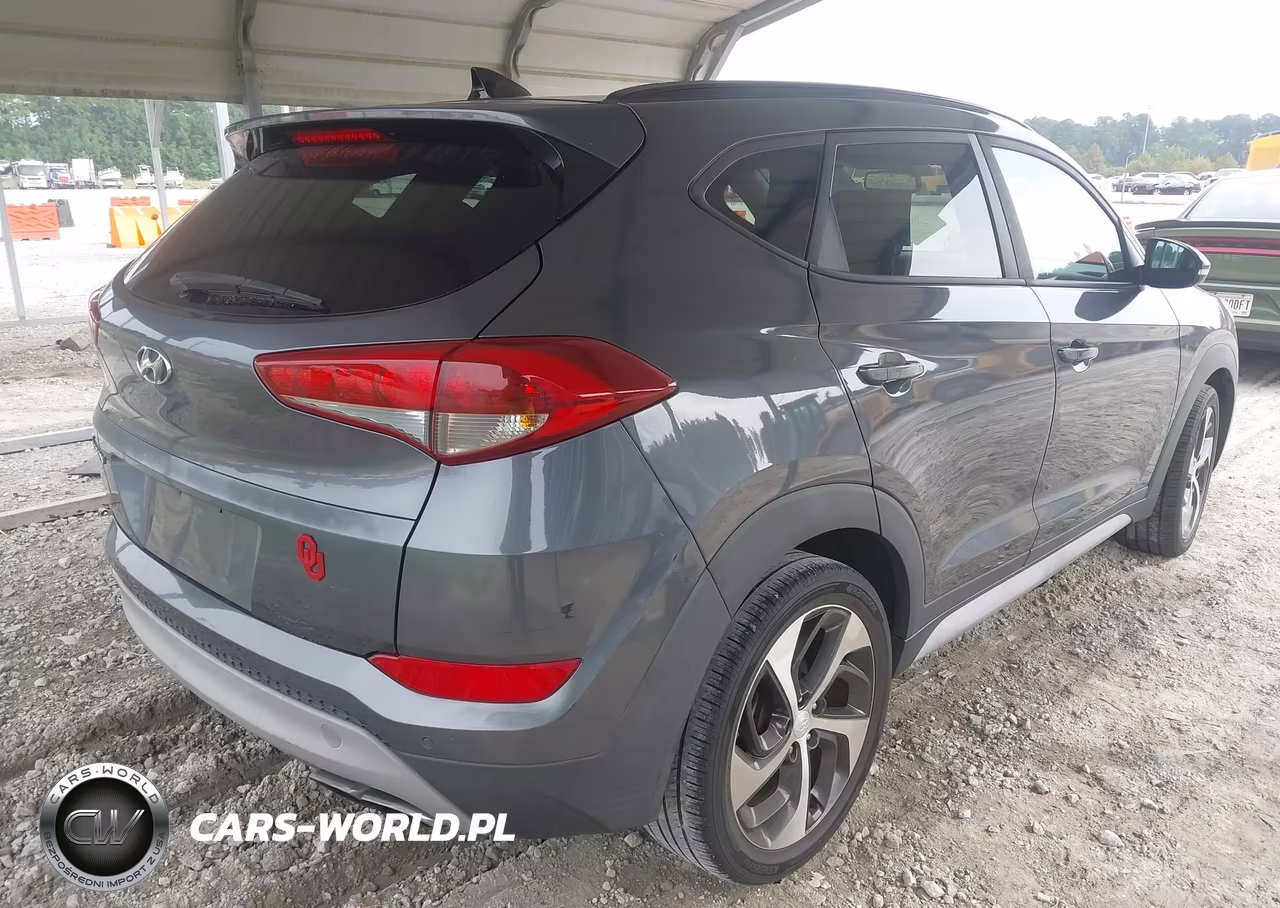 2018 Hyundai Tucson Value VIN:KM8J33A25JU759309 - 4