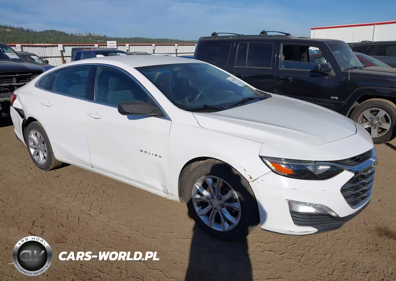2019 Chevrolet Malibu Lt VIN:1G1ZD5ST4KF172881 - 1