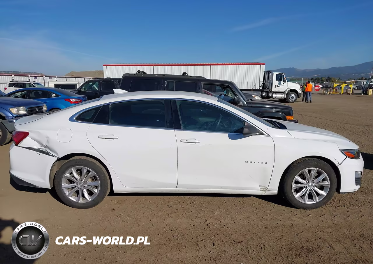 2019 Chevrolet Malibu Lt VIN:1G1ZD5ST4KF172881 - 13