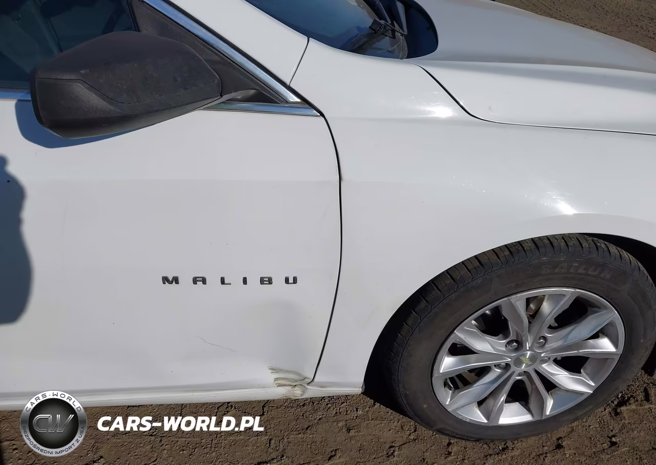 2019 Chevrolet Malibu Lt VIN:1G1ZD5ST4KF172881 - 17