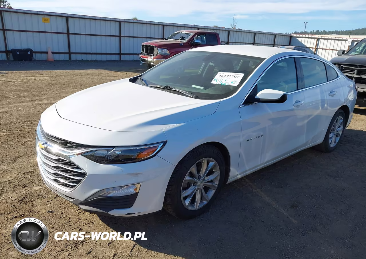 2019 Chevrolet Malibu Lt VIN:1G1ZD5ST4KF172881 - 2