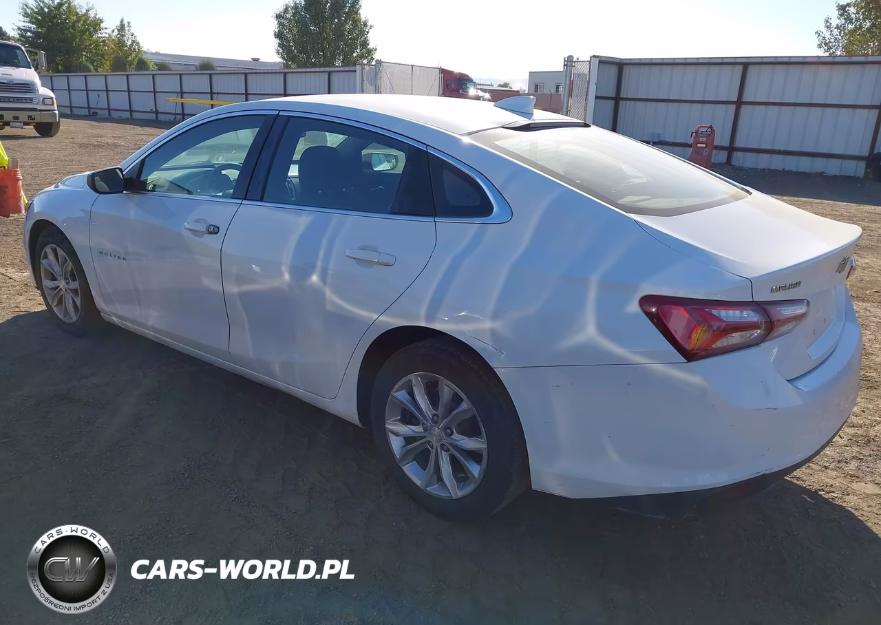 2019 Chevrolet Malibu Lt VIN:1G1ZD5ST4KF172881 - 3
