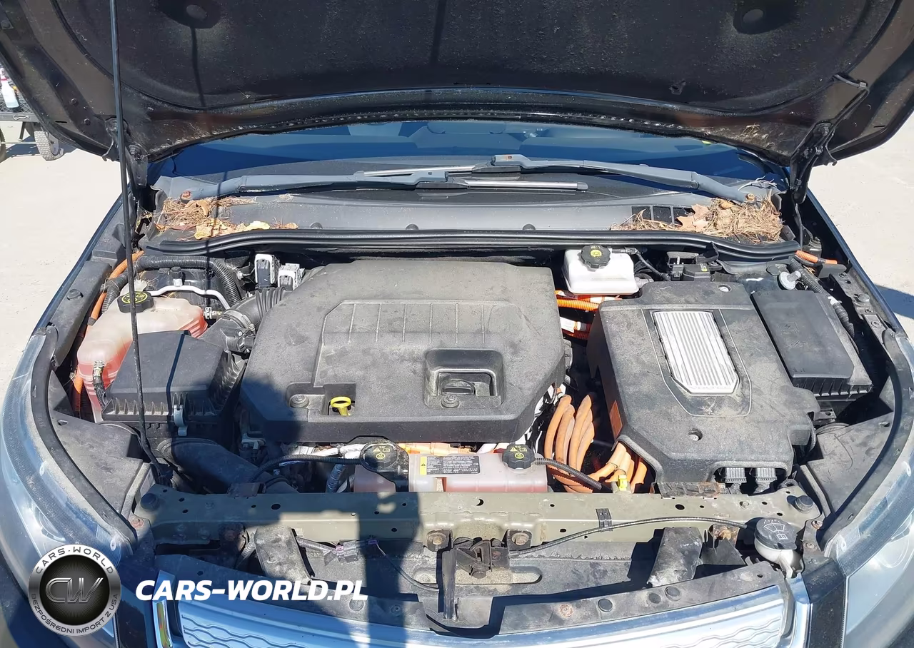2013 Chevrolet Volt VIN:1G1RD6E4XDU109258 - 10
