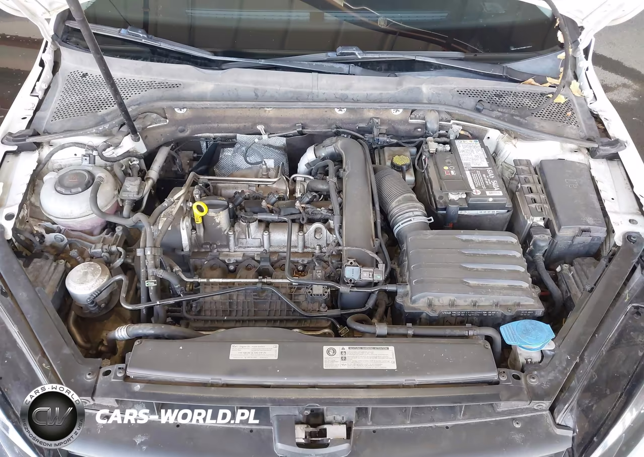 2019 Volkswagen Golf Sportwagen 1.4T S-1.4T Se VIN:3VWY57AU3KM510631 - 10