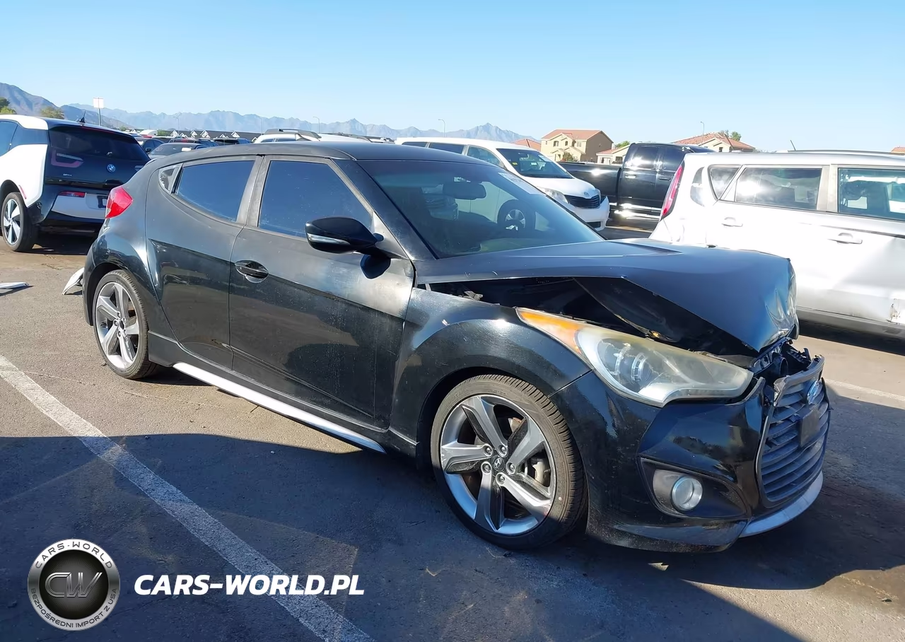 2013 Hyundai Veloster Turbo W-Black VIN:KMHTC6AEXDU134445 - 1