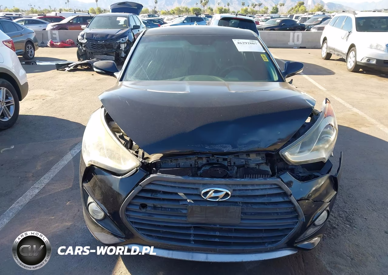 2013 Hyundai Veloster Turbo W-Black VIN:KMHTC6AEXDU134445 - 12