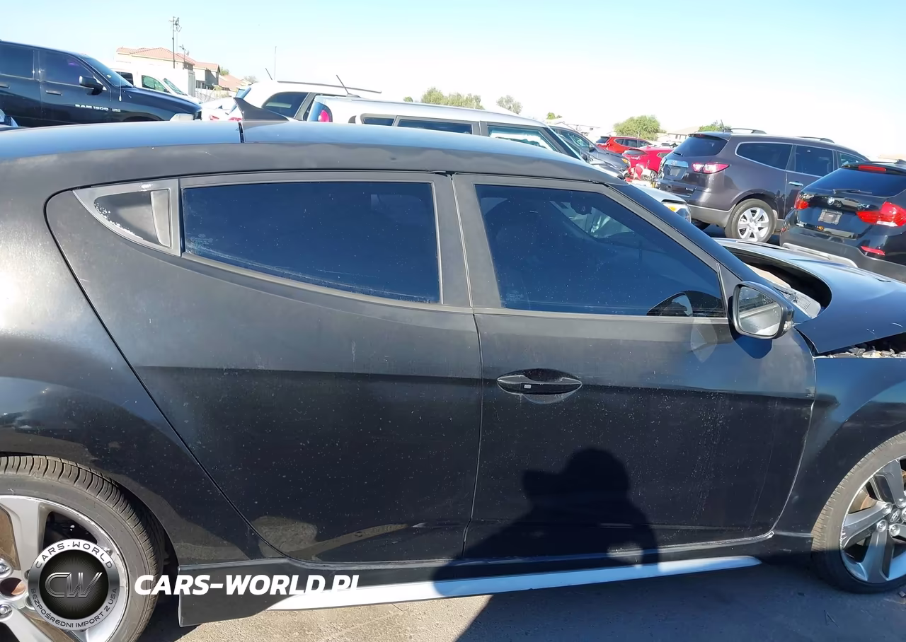 2013 Hyundai Veloster Turbo W-Black VIN:KMHTC6AEXDU134445 - 13