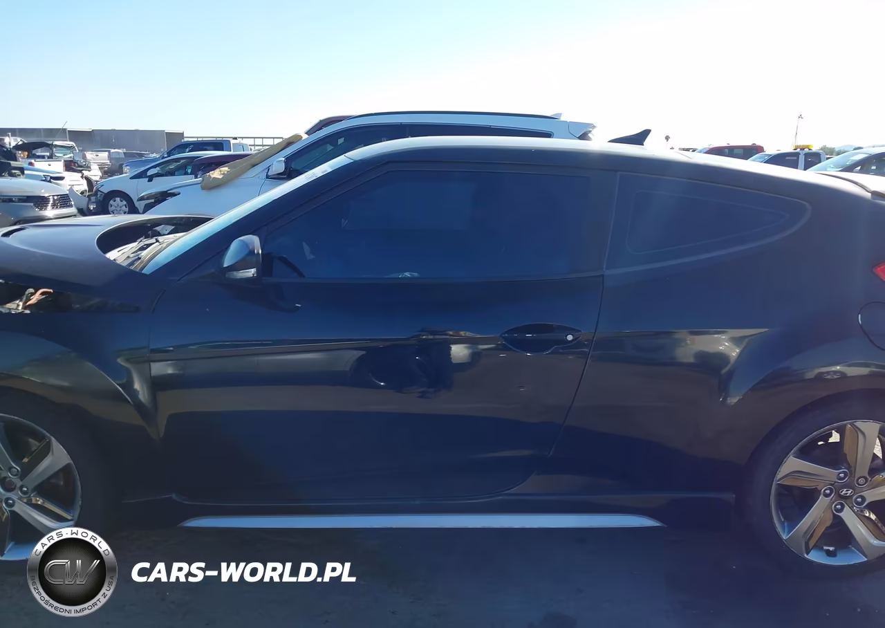 2013 Hyundai Veloster Turbo W-Black VIN:KMHTC6AEXDU134445 - 14
