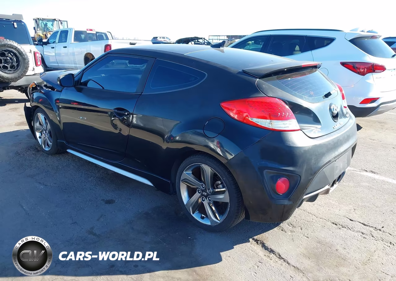 2013 Hyundai Veloster Turbo W-Black VIN:KMHTC6AEXDU134445 - 3