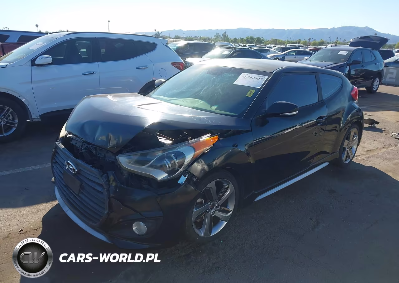 2013 Hyundai Veloster Turbo W-Black VIN:KMHTC6AEXDU134445 - 6
