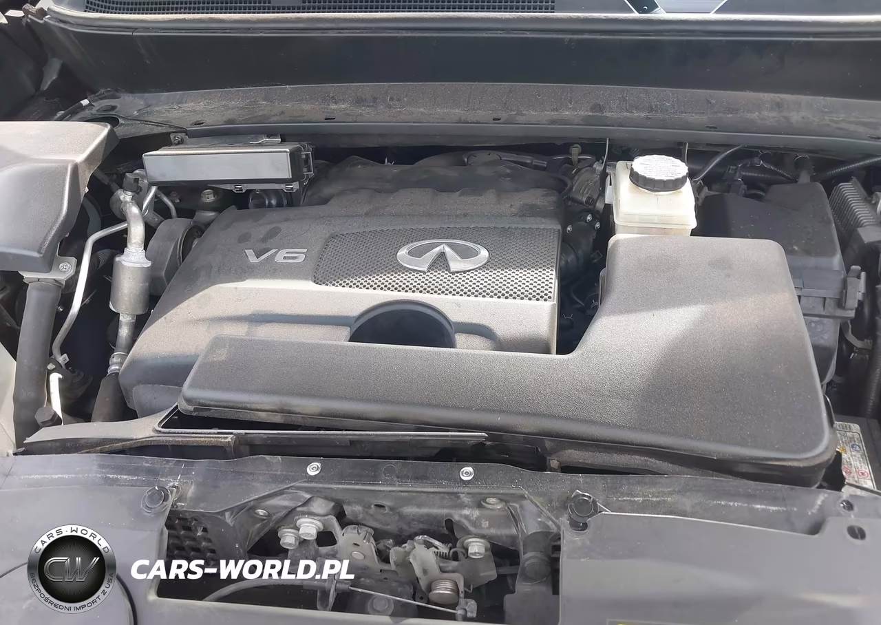 2020 Infiniti Qx60 Pure VIN:5N1DL0MN9LC518315 - 10