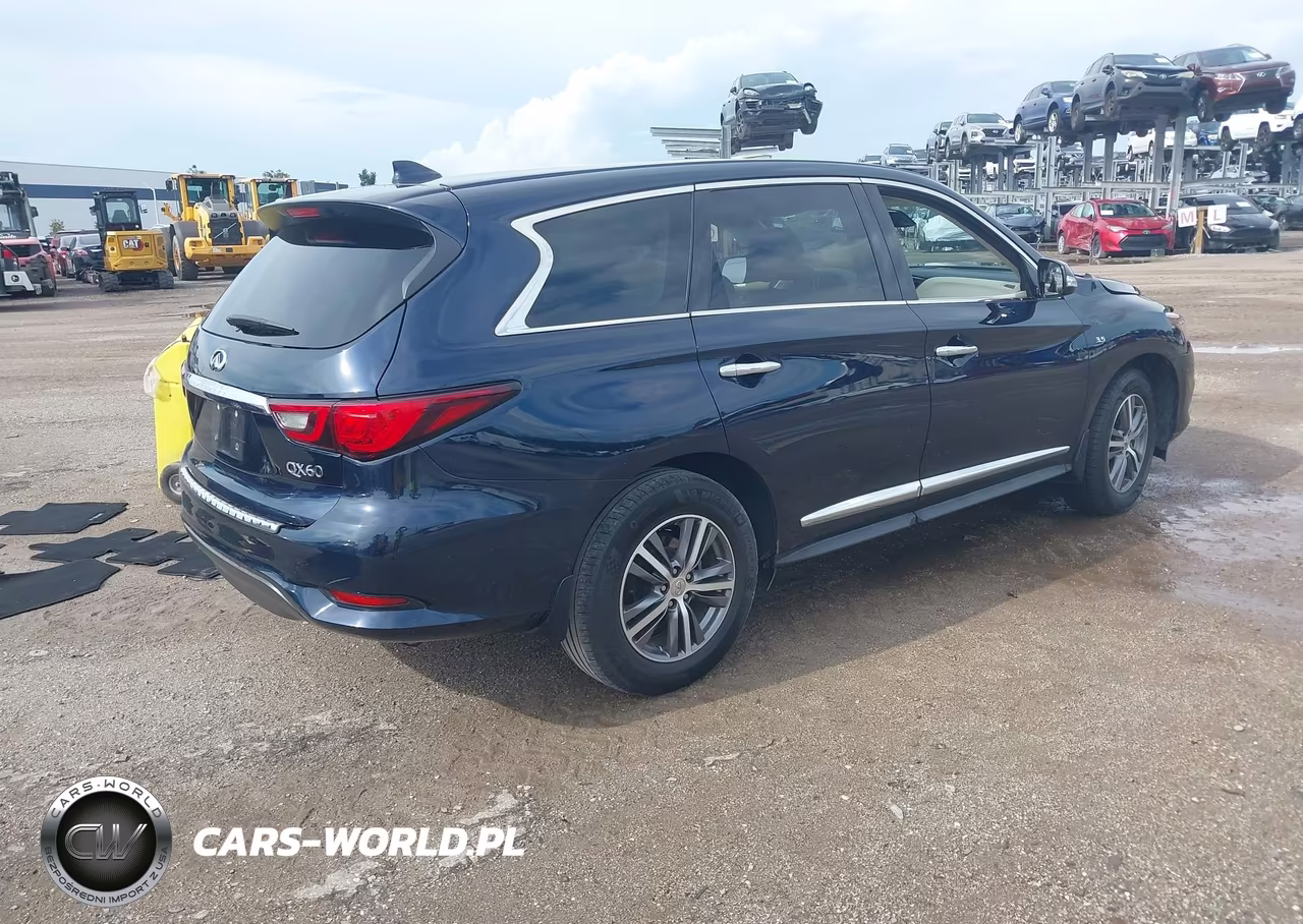 2020 Infiniti Qx60 Pure VIN:5N1DL0MN9LC518315 - 4