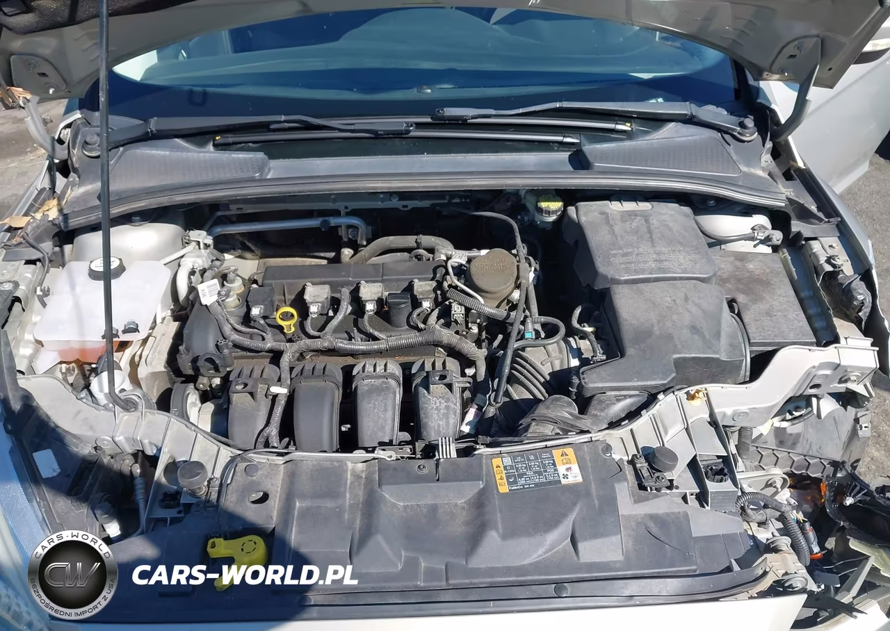 2015 Ford Focus Se VIN:1FADP3F29FL217924 - 10
