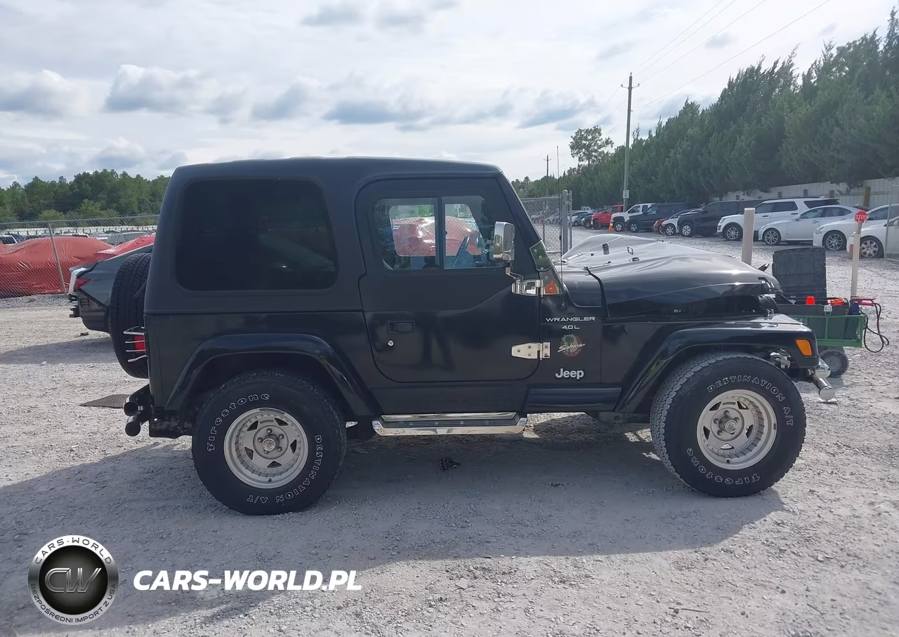 2000 Jeep Wrangler Sahara VIN:1J4FA59S4YP716275 - 13