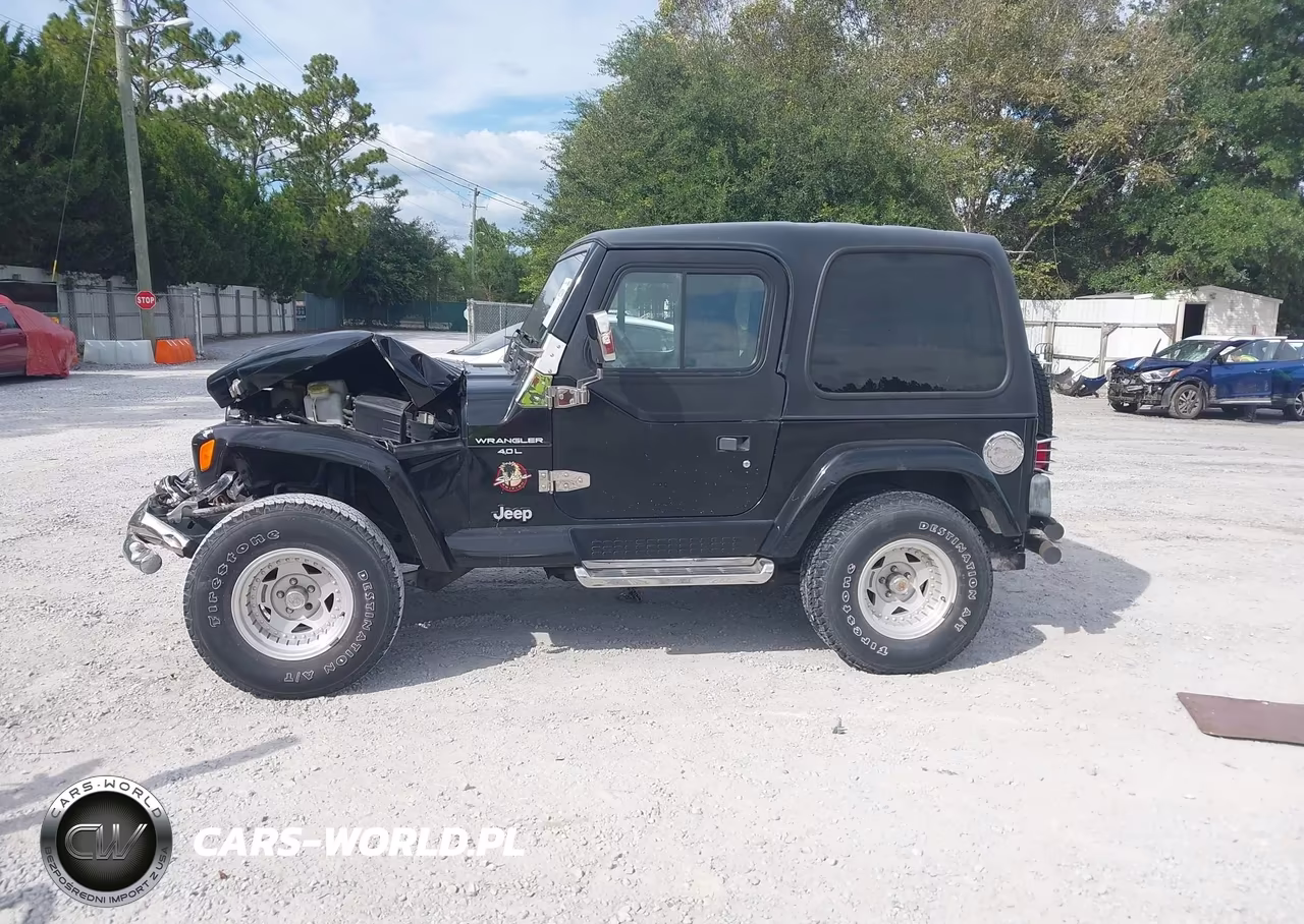 2000 Jeep Wrangler Sahara VIN:1J4FA59S4YP716275 - 14
