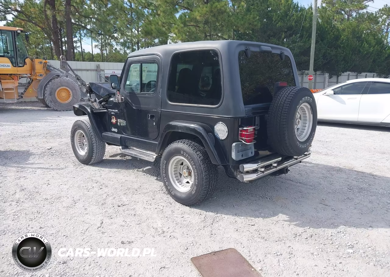 2000 Jeep Wrangler Sahara VIN:1J4FA59S4YP716275 - 3