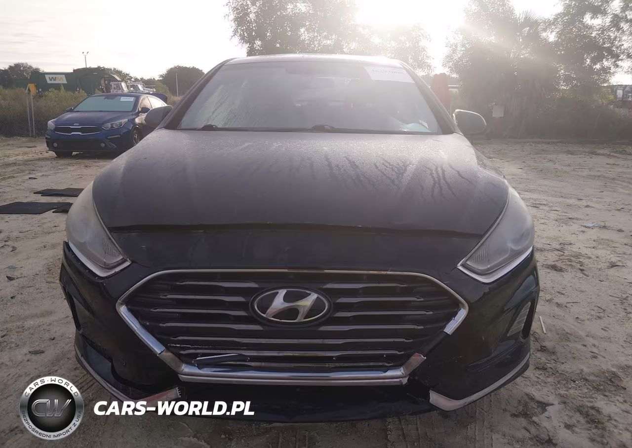 2019 Hyundai Sonata Se VIN:5NPE24AF7KH819099 - 12